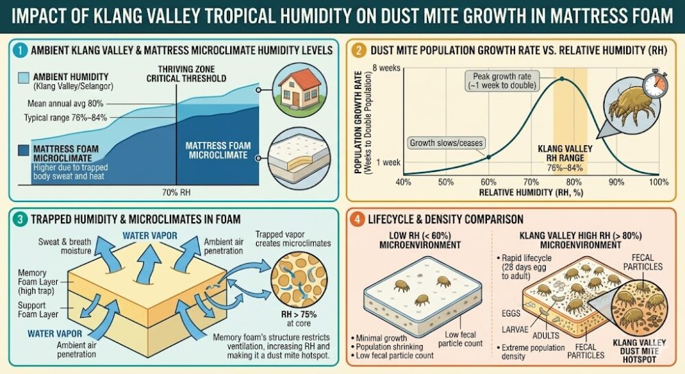 Humidity level diagram showing Malaysian tropical climate effect on dust mite growth rates inside mattress foam Klang Valley Selangor